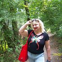 ���� ���� �����, ������ - ��������� 29 ������� 2012 � ������ �������,������ ����,���� 2015 �.�