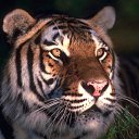 ���� �����, ����, 50 ��� - ��������� 16 ����� 2010 � ������ �������