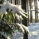 ���� �����, �����-��������� - ��������� 23 ������� 2011 � ������ ��������- ��� ���̻