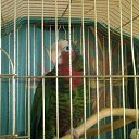 ���� Valera, ����, 46 ��� - ��������� 3 ������� 2012 � ������ �������