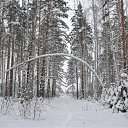 ���� ������, ��������� - ��������� 31 ������ 2010 � ������ �������� �������