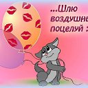 ���� ��������, ��������, 62 ���� - ��������� 3 ���� 2012 � ������ �������