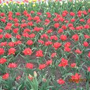 ���� ��������, ������ - ��������� 2 ��� 2011 � ������ �������