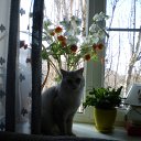 ���� �������, �������, 48 ��� - ��������� 28 ���� 2010 � ������ ���� ��� ��ʻ