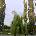 ���� Laura, ������� ��� - ��������� 1 �������� 2012 � ������ �������