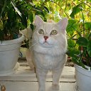 ���� ������, �����������, 36 ��� - ��������� 21 �������� 2011 � ������ ��������� ��� � ���� ������