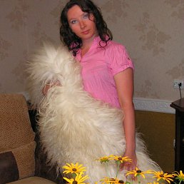 ..., 45,  