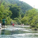 ���� ����, �����������, 38 ��� - ��������� 31 ������� 2011 � ������ ���� ����������