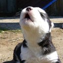  Angel, , 39  -  16  2010   