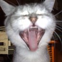 ���� ����, �������, 39 ��� - ��������� 24 ������ 2010 � ������ ���� ���� :)�