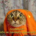 ���� ����, ������ - ��������� 6 ������ 2013 � ������ �������