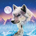 ���� Einsamer Wolf, ������������, 71 ��� - ��������� 21 ���� 2013 � ������ ���� ����������