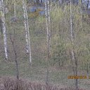 ���� ���, ������, 30 ��� - ��������� 6 ������� 2010 � ������ ��������