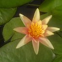 ���� ����� - ���������� ��������!!!, �����������, 56 ��� - ��������� 10 ������ 2010 � ������ ������� �����