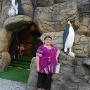 ���� �������, �����, 54 ���� - ��������� 2 ������ 2012