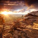 ���� �������, ����, 26 ��� - ��������� 1 ������ 2011