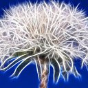  , , 43  -  15  2009   Digital Art Wallpapers
