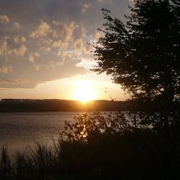 ���� ����, �����, 35 ��� - ��������� 4 ����� 2010