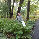 ���� ������ ��������, ������, 41 ��� - ��������� 2 ���� 2013 � ������ ���� ����������