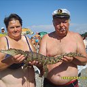 ���� ������, ������, 74 ���� - ��������� 10 ������ 2013 � ������ ���� ����������