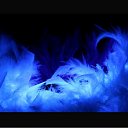 ���� Serega, �����-���������, 34 ���� - ��������� 12 ������ 2010 � ������ ��������