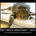 ���� �����, ������, 45 ��� - ��������� 18 ������� 2011 � ������ ����������� �����