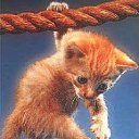 ���� Knoss, ������������, 26 ��� - ��������� 18 ������� 2009 � ������ �������� - �����������