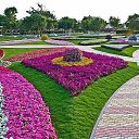 ���� ����� ���������, ���� - ��������� 31 ������ 2013 � ������ ���� ����������