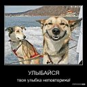 ���� �������, ���������, 42 ���� - ��������� 25 ����� 2012 � ������ �������������