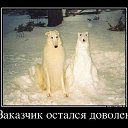 ���� �������, ���������, 42 ���� - ��������� 25 ����� 2012 � ������ �������������