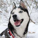  Angel, , 39  -  16  2010   