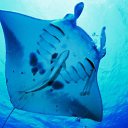 ���� ����� - ���������� ��������!!!, �����������, 56 ��� - ��������� 20 ������� 2009 � ������ ������������� ��������� � ��������� ���!�