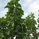 ���� ������, ����, 68 ��� - ��������� 19 �������� 2011 � ������ ��������