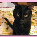 ���� ����� ;), ��������, 51 ��� - ��������� 16 ������ 2011 � ������ ���� ����������