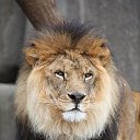 ���� ����, ������, 30 ��� - ��������� 25 ������� 2010 � ������ ���� ����������