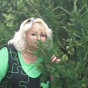 ���� �����(������ �����), ����, 64 ���� - ��������� 26 ������� 2010 � ������ ��������������߻