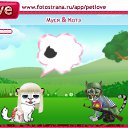  , , 24  -  10  2010   PetLove