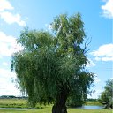 ���� �����, �����������, 64 ���� - ��������� 13 ��� 2012 � ������ ���� ����������