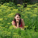 ���� �����, ��������, 34 ���� - ��������� 19 ����� 2012 � ������ ���� ����������