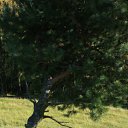 ���� Pavlik, ��������, 37 ��� - ��������� 10 ������ 2012