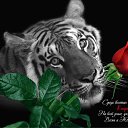 ���� ���������, ���������, 42 ���� - ��������� 9 ����� 2010 � ������ ���� ����������