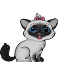 ���� �����, �����, 30 ��� - ��������� 13 ���� 2010 � ������ ���� �����