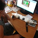 ���� ������, ������, 61 ��� - ��������� 30 ���� 2013