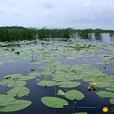 ���� ����������, ���������, 65 ��� - ��������� 17 ������ 2011 � ������ ��� ������.�