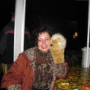 �� ���-���� �� ������� ���� ����������