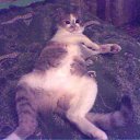  Nadin))) , - -  14  2010   