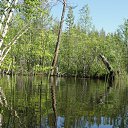 ���� �����.....����., �������, 43 ���� - ��������� 28 ������ 2011 � ������ ���� ����������