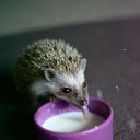 ���� �����&copy;, ������, 48 ��� - ��������� 2 ������� 2011 � ������ ���� ����������