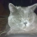 ���� ������, ����, 55 ��� - ��������� 16 ������ 2012