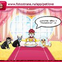  **royal C@nin**, , 24  -  17  2011   PetLove